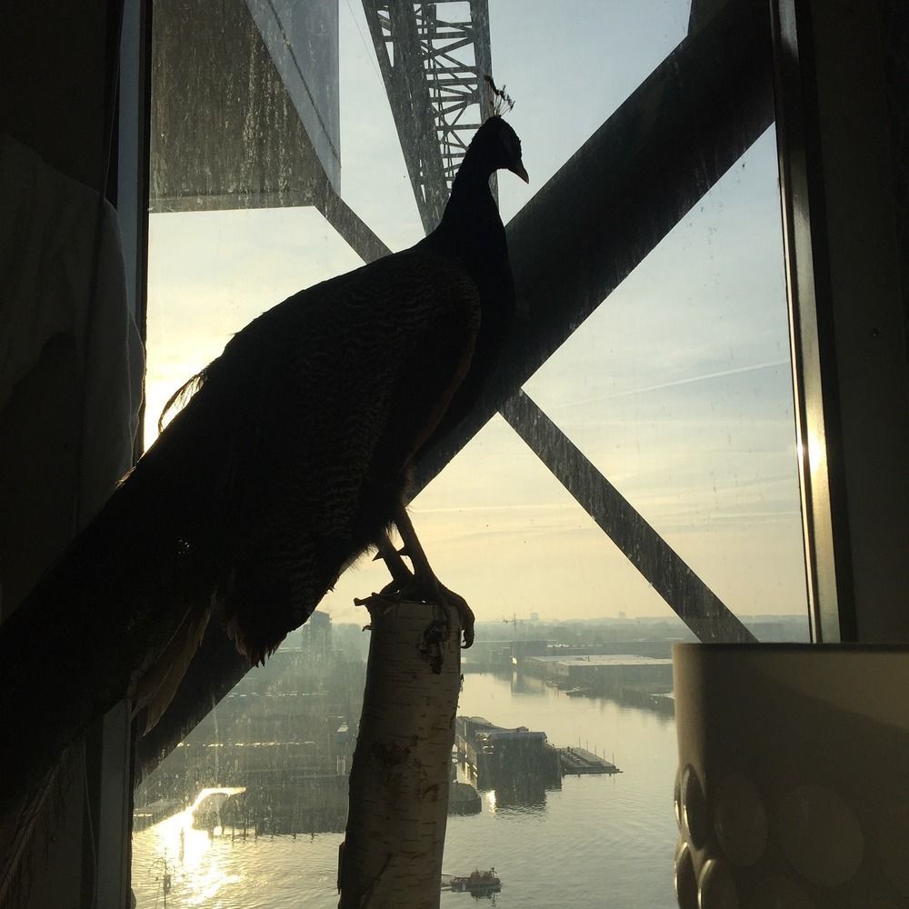 Crane Hotel Faralda Amsterdam Ngoại thất bức ảnh